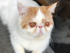 -星巴克(杭州大厦C座店)