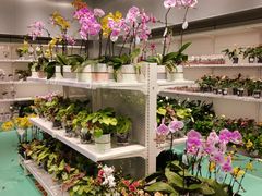 -盒马X会员店(上海森兰商都店)
