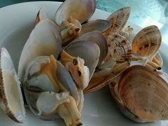 android_upload_pic-湿地轩