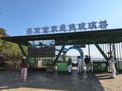 -呀诺达热带雨林