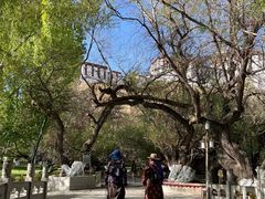 -宗角禄康公园