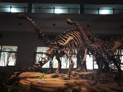 -自贡恐龙博物馆