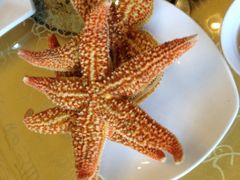 蒸海星-海岛渔村大酒店(云霄路店)