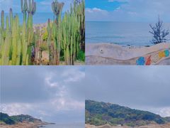 -广东惠东海龟国家级自然保护区