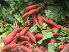 小萝卜-金旭菜市场