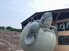-广东惠东海龟国家级自然保护区