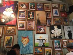 -猫咪博物馆(顶澳仔猫街店)
