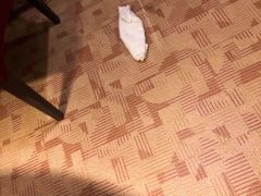 -山西会馆·晋菜·晋商宴·牌匾博物馆(胜利东街店)