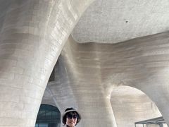 -证大喜玛拉雅中心