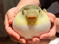 -永安鱼庄·镇江菜(东吴路店)