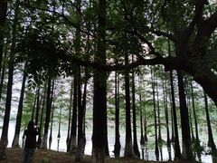 -苏州工学院(东湖校区)