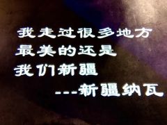 -纳瓦新疆菜(银都店)