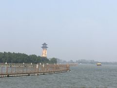 -溱湖国家湿地公园