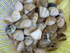 -金海湾海鲜排档(朱家尖店)