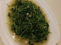 -嘉豪淮海国际豪生酒店