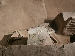 -洛阳周王城天子驾六博物馆