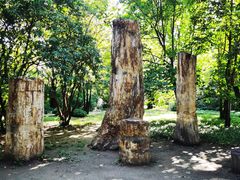 -国家植物园南园