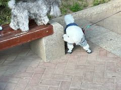 -燕儿岛山公园