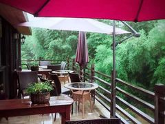 -西院1号(龙井店)