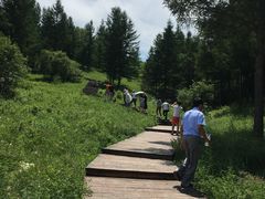 -塞罕坝国家级自然保护区