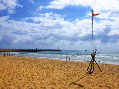 -清水湾旅游度假区