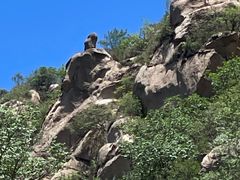 -大岭沟猕猴桃谷风景区