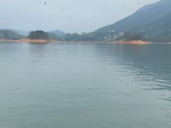 -广州市流溪河国家森林公园