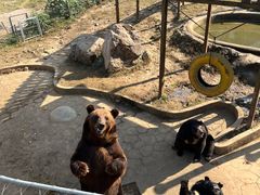 -无锡动物园·太湖欢乐园