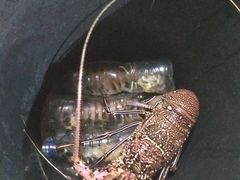 -海盗餐厅
