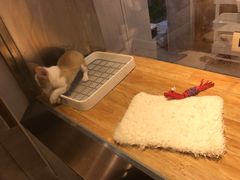 -狗道宠物(常熟印象城店)