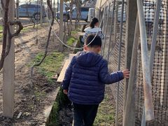 -美家乐农庄·露营·团建(大治路店)