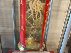-中国酒文化城