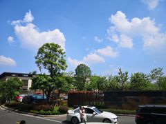 -美的鹭湖森林度假区