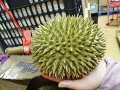 -大润发(张江店)