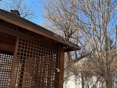 -中家鑫园温泉酒店鑫悦汤泉