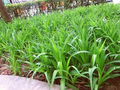 -红黄蓝幼儿园(颐东苑店)