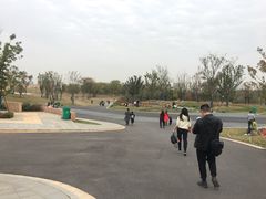 -盘龙城国家考古遗址公园