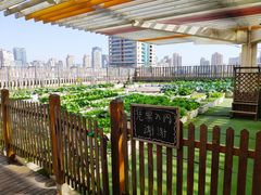 -巴黎春天(浦建店)