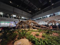 -自贡恐龙博物馆