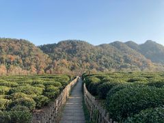 -中国茶叶博物馆(双峰馆区)