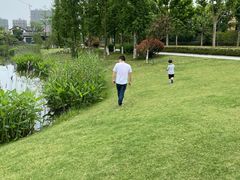 -白鹭湾湿地公园