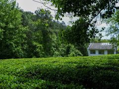 -敬亭山风景名胜区