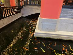 -龙悦湾酒家·八阵鱼生·渔人码头店
