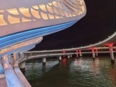 -演武大桥观景平台