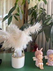 -苗方清颜专业祛痘连锁机构