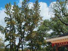 -江心屿景区