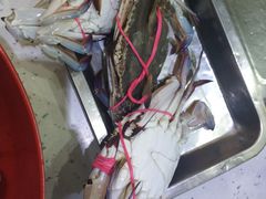 -王潮活海鲜自助·蒸汽海鲜