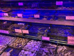 -青蓬蒸汽海鲜·深圳老字号·团建聚会(壹方城店)
