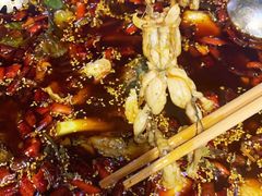 -大江美蛙鱼火锅(都江堰店)