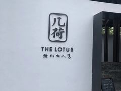 -几荷·恰似故人来(秀水广场店)